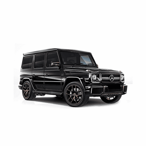 Mercedes Benz-AMG G 65 - SUV W463