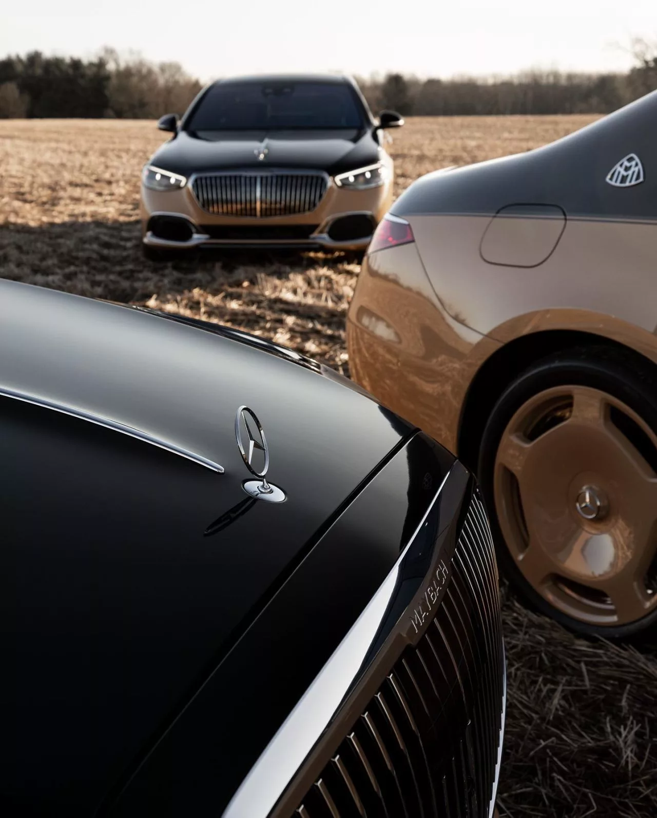 Sourcing the Maybach Virgil Abloh Edition Mastering the Art of Automobile Investment 5 Pfsiter Autotechnik- Shop 1682627102047 1 jpg
